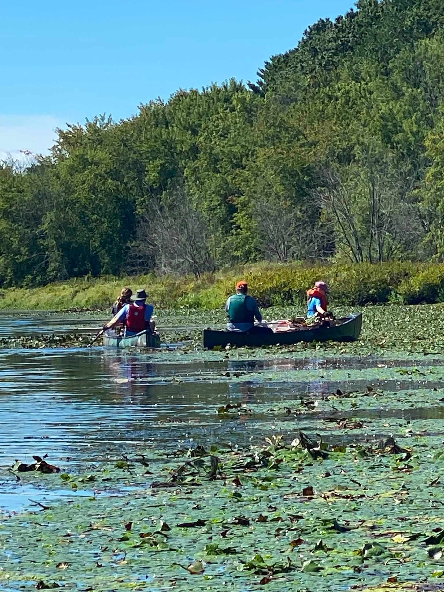 On the water