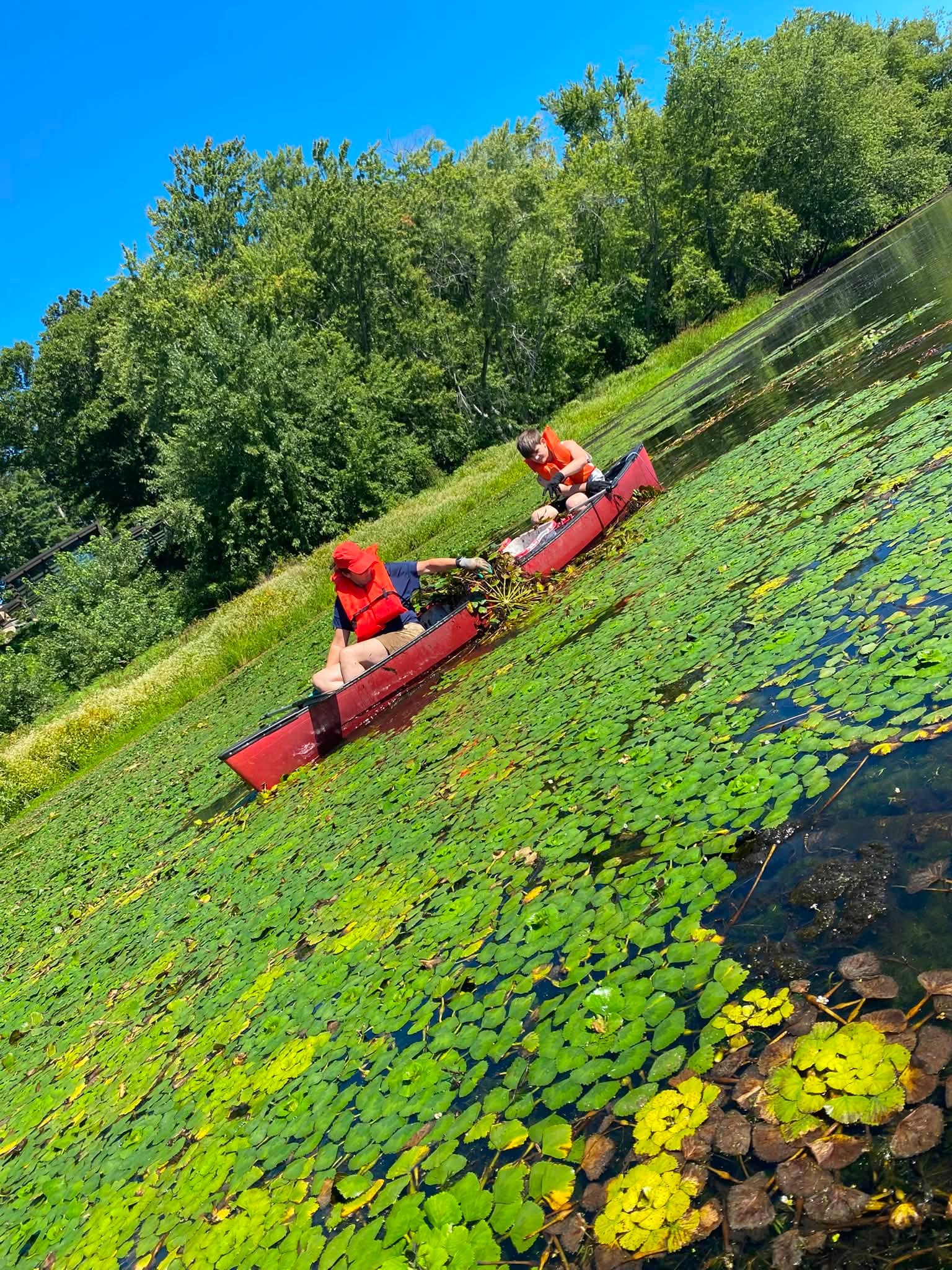 Canoe